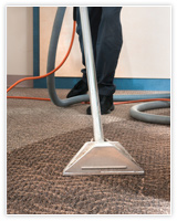 carpet steam cleaning
